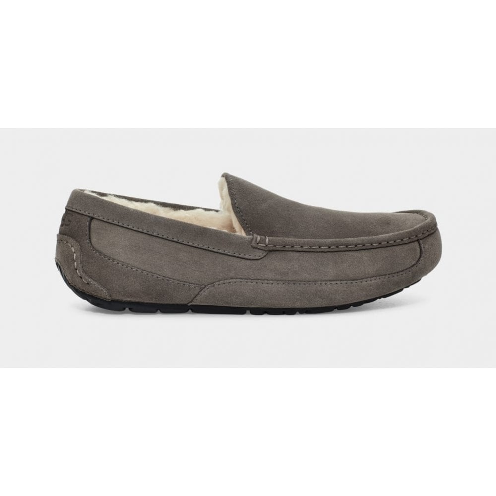 UGG Ascot Mens Slipper Colour: Grey