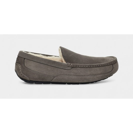 UGG Ascot Mens Slipper Colour: Grey
