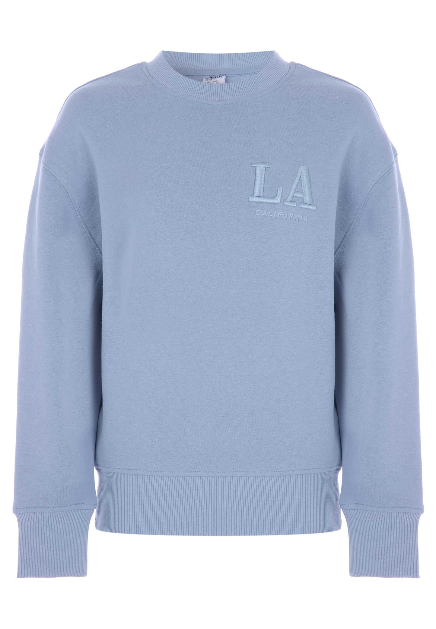 Peacocks Older Boys Blue Embroidered Oversized Sweatshirt